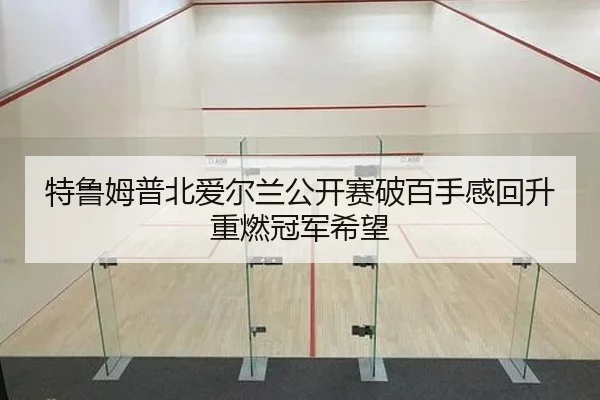 te-lu-mu-pu-bei-ai-er-lan-gong-kai-sai-po-bai-shou-gan-hui-sheng-zhong-ran-guan-jun-xi-wang-2-591.jpg